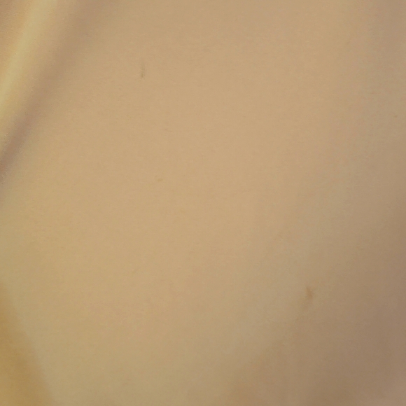 Camel Silk Skirt - Picture 5 of 9